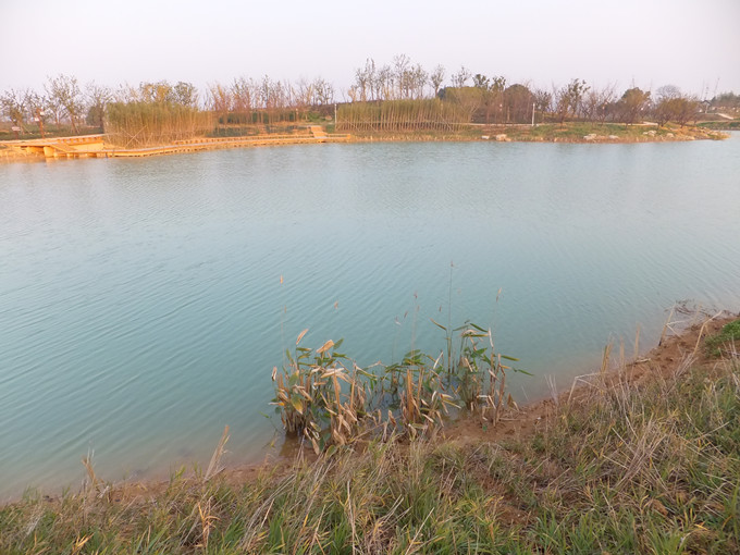 DSCF3370_����.jpg
