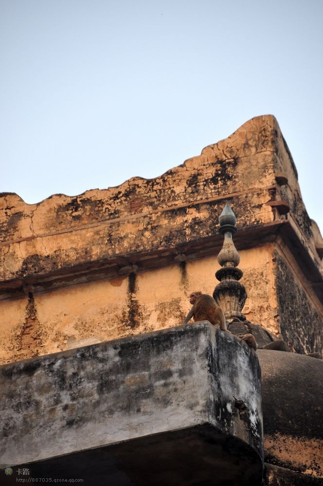 43.jpg