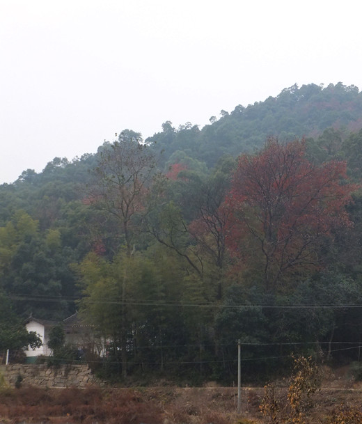 DSCF3418_����.jpg