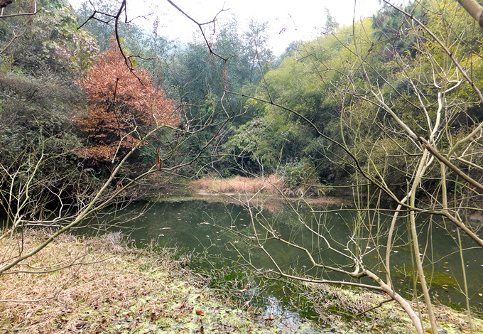 DSCF3471_����.jpg
