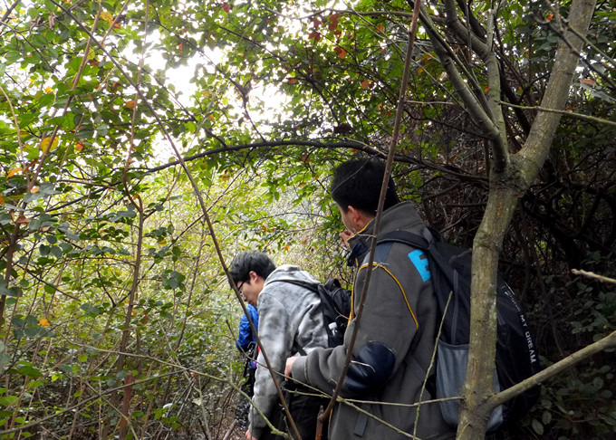 DSCF3477_����.jpg