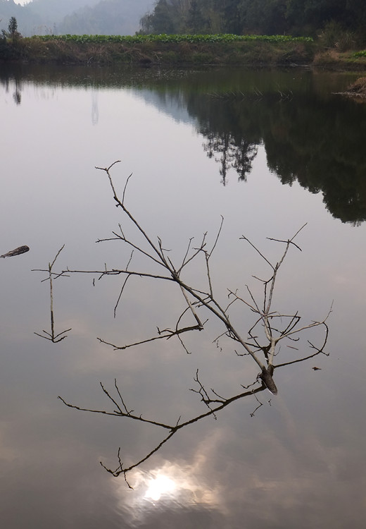 DSCF3637_����.jpg