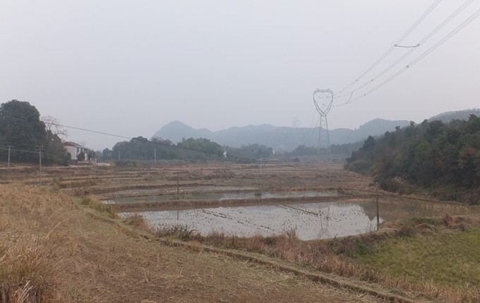 DSCF3765_����.jpg
