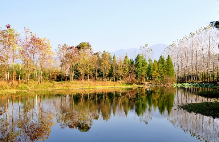 DSC_1248.jpg