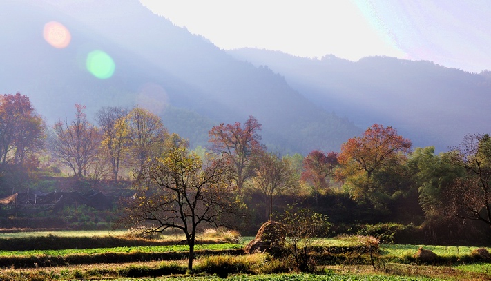 DSC_1274.jpg