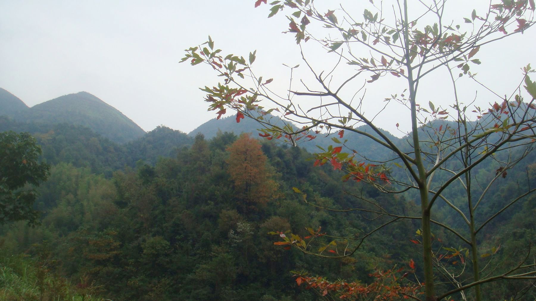 DSC04204.JPG
