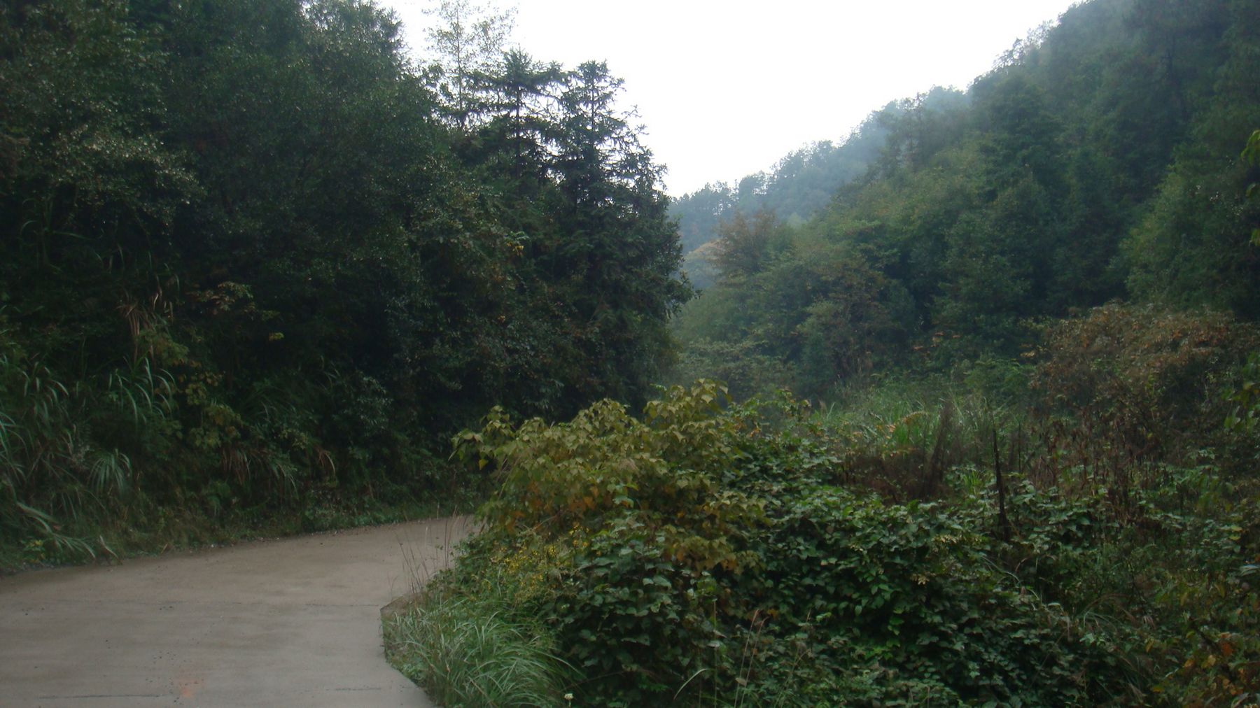 DSC04191.JPG