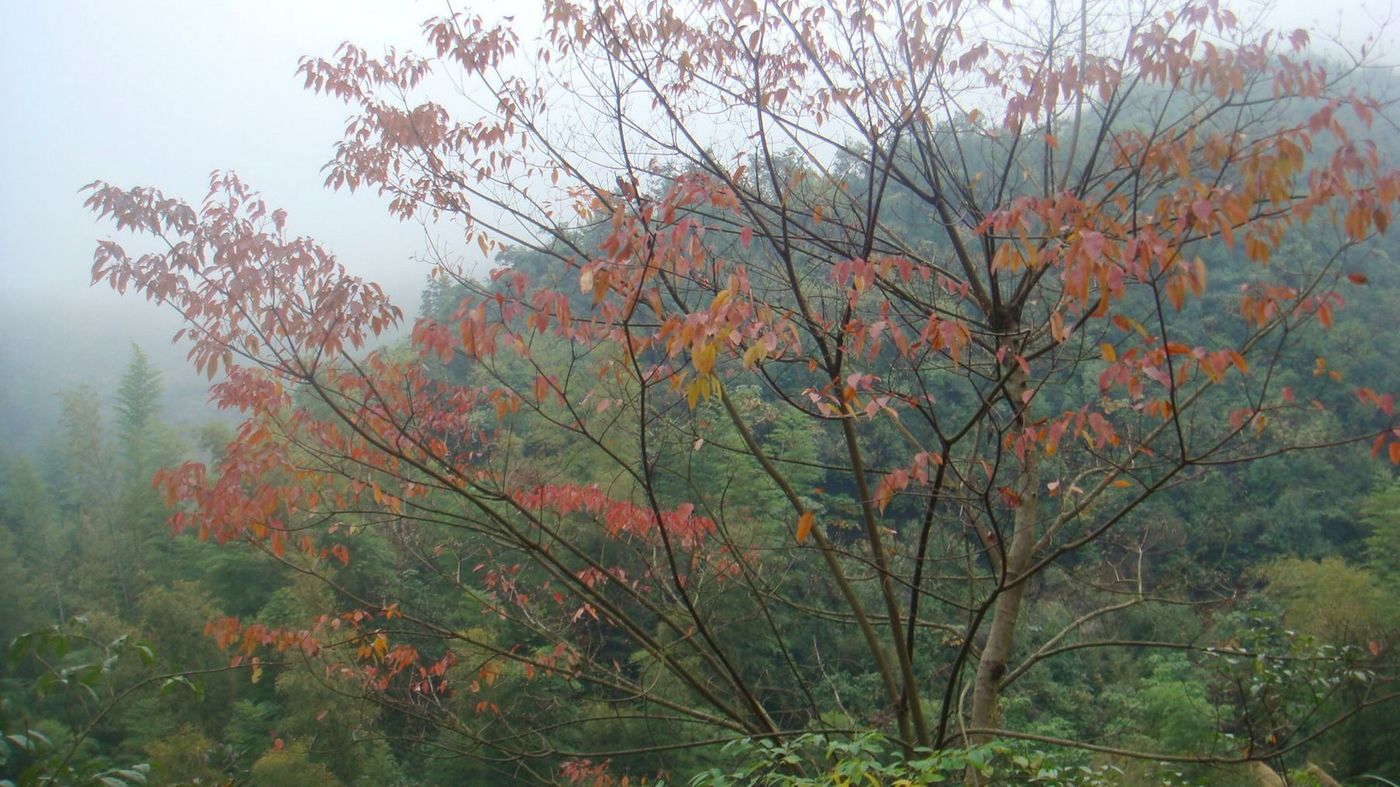 DSC04267.JPG