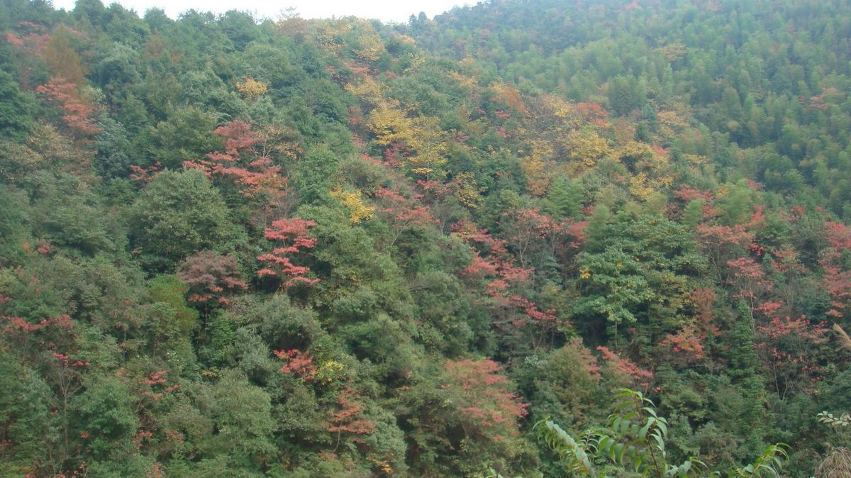 DSC04325.jpg