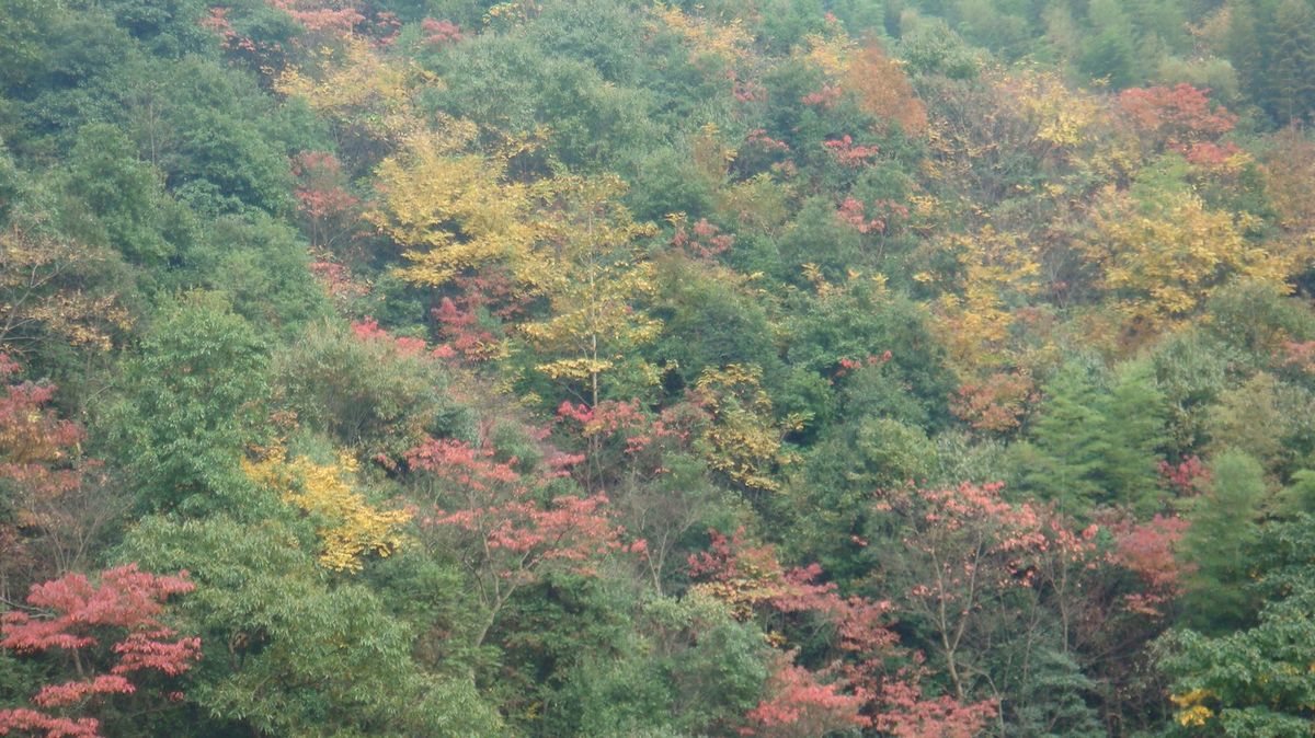DSC04326.jpg