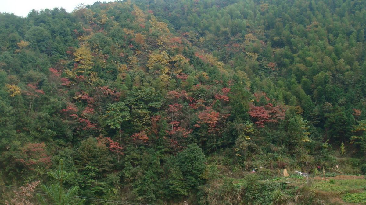 DSC04327.jpg
