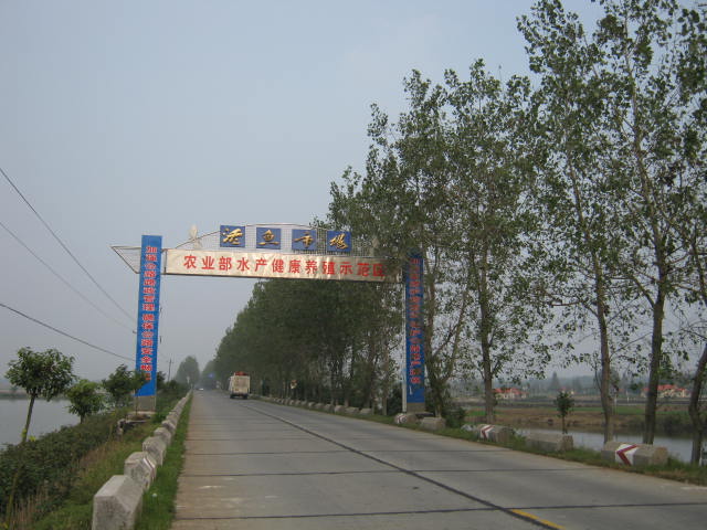 IMG_1261.JPG