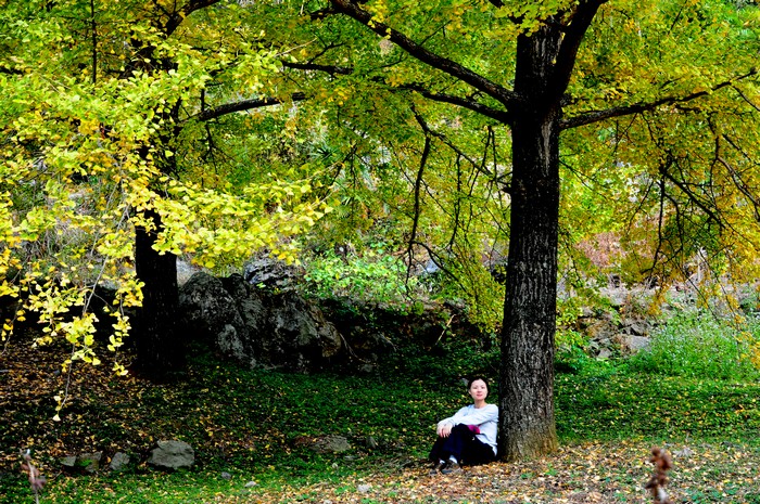 DSC_3585.jpg