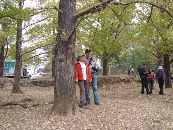 DVCI2915.jpg