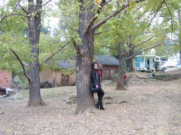 DVCI2919.jpg