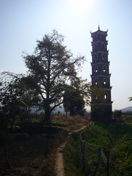 P1050188-1.jpg