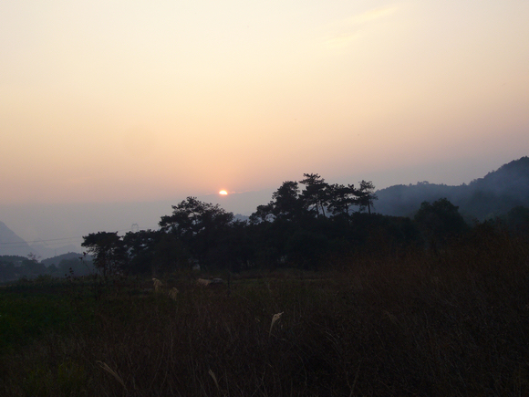 P1050220-1.jpg