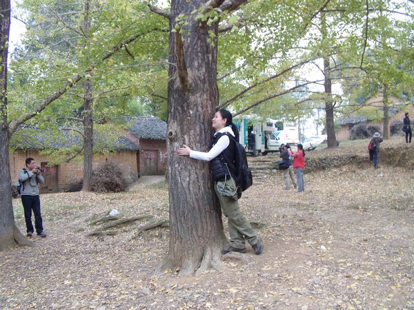 DVCI2938.jpg