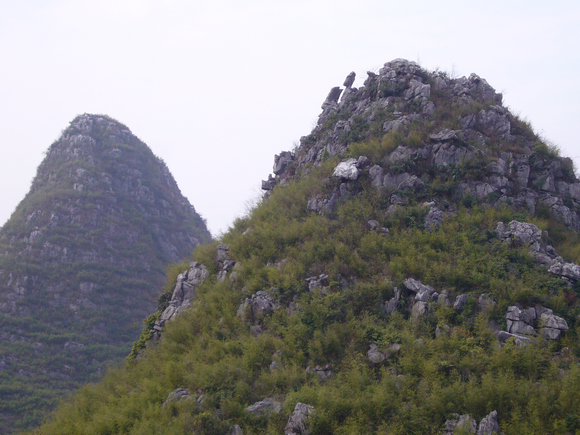 P1050263-1.jpg
