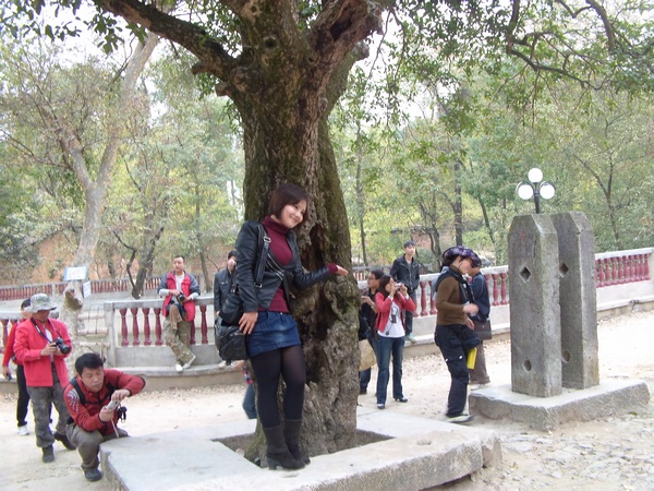 DVCI2943.jpg