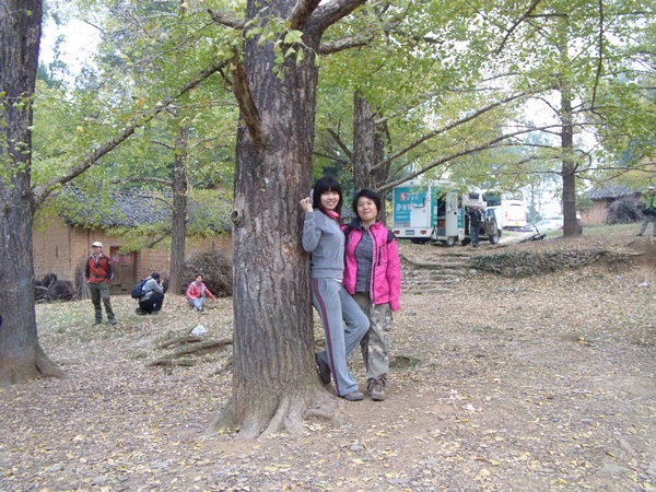 DVCI2932.jpg