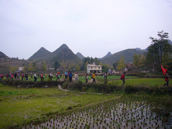 P1050270-1.jpg