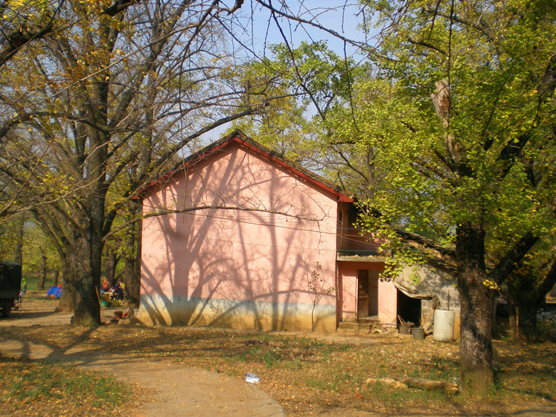 P1010161_����.jpg