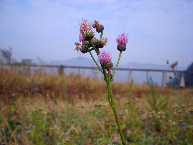 P1010117_����.jpg