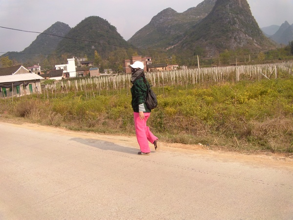 DVCI3355.jpg
