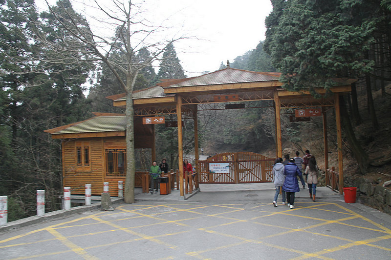 IMG_4284.jpg