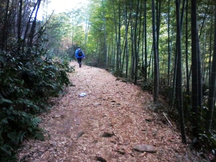 ��Ƭ3960.jpg