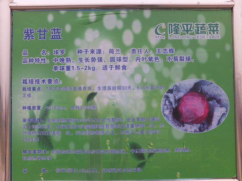 DSCF5949_����.jpg