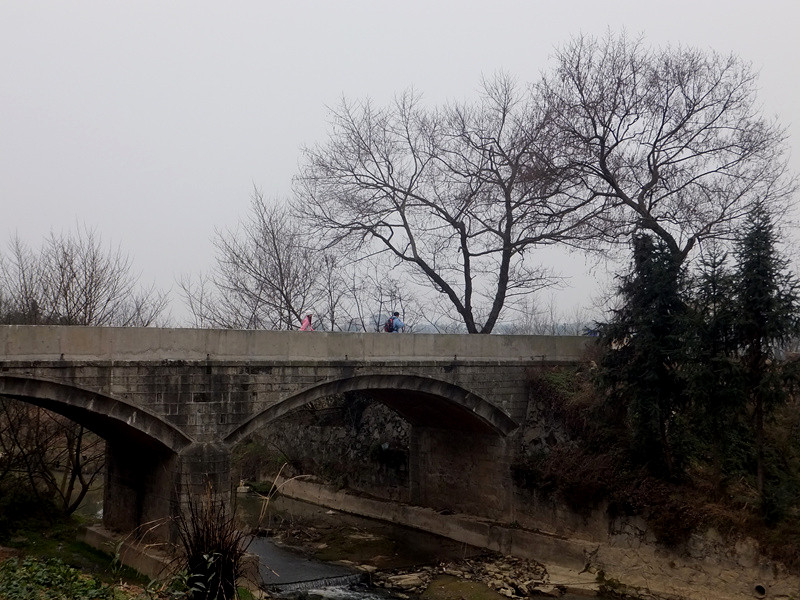 DSCF6015_����_����.jpg