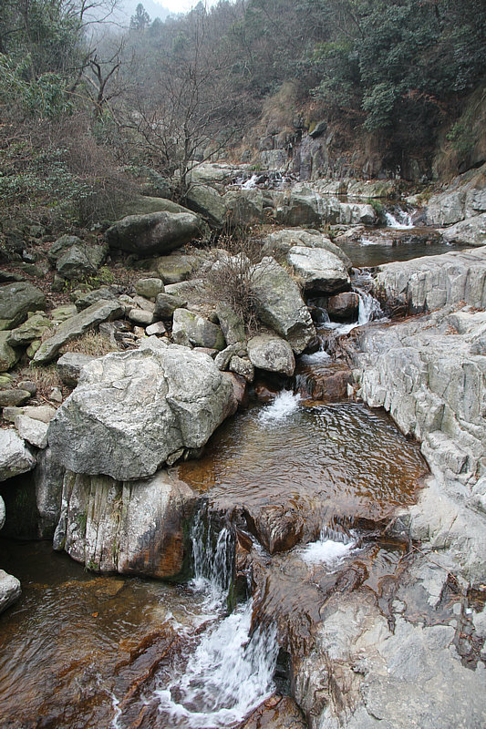 IMG_4404.jpg