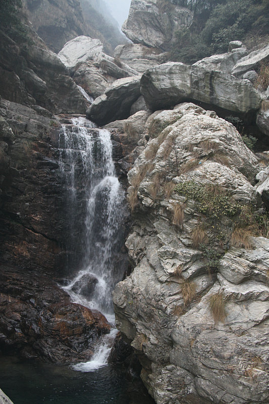IMG_4443.jpg