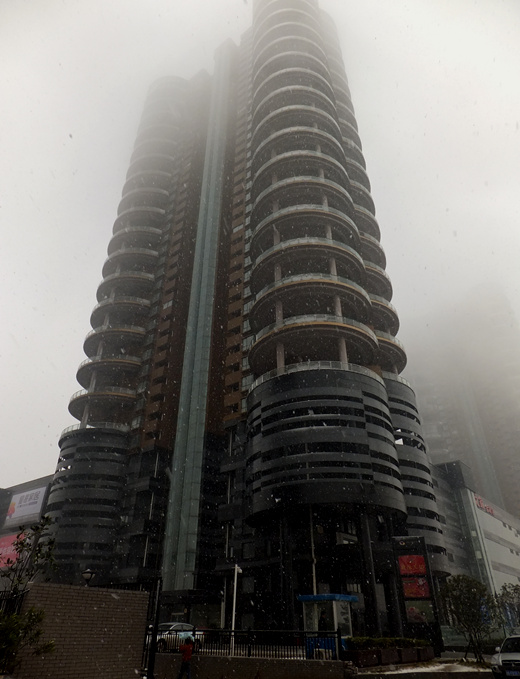DSCF6206_����.jpg