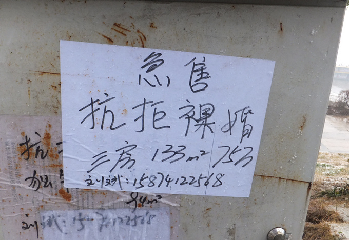 DSCF6195_����.jpg
