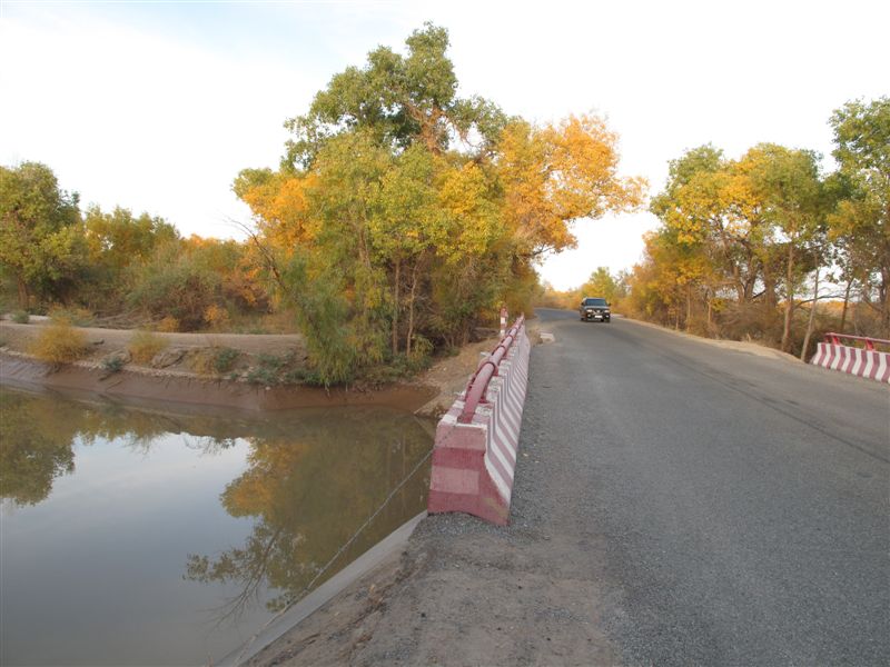 IMG_0777.jpg