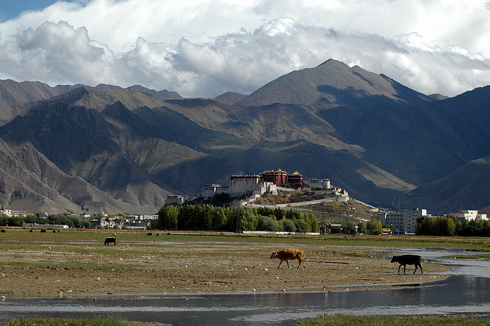 DSC_5002.JPG