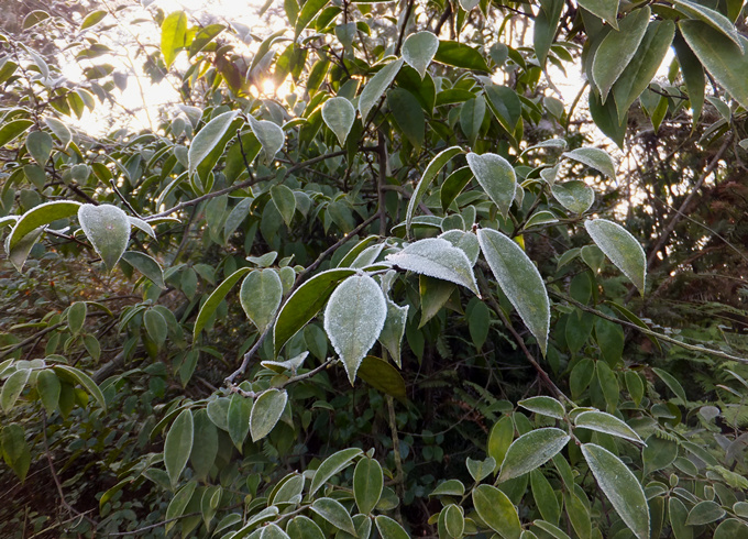 DSCF6932_����.jpg
