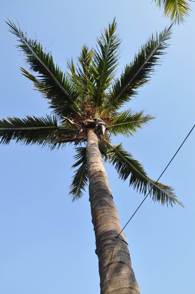 ������С ��ת DSC_0280.JPG