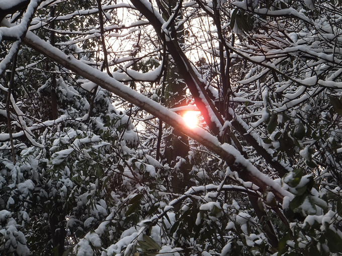 DSCF6750_����.jpg