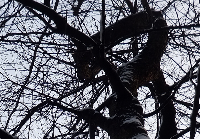 DSCF6740_����.jpg