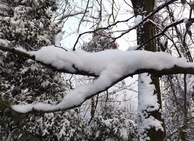 DSCF6785_����.jpg