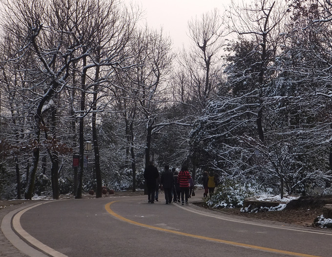 DSCF6764_����.jpg