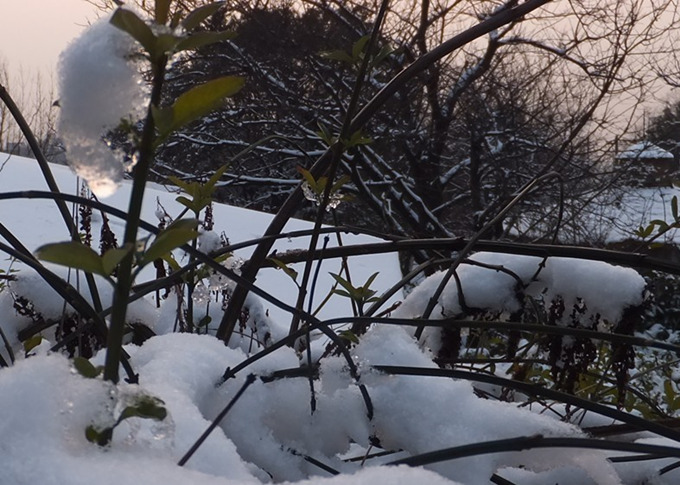 DSCF6789_1_����.jpg