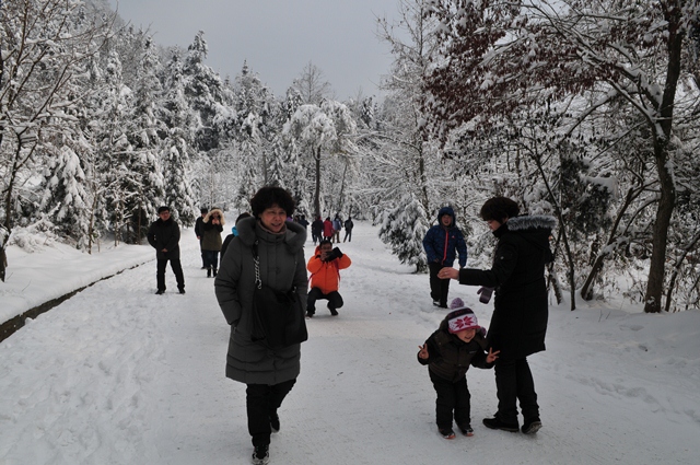 DSC_9213.JPG