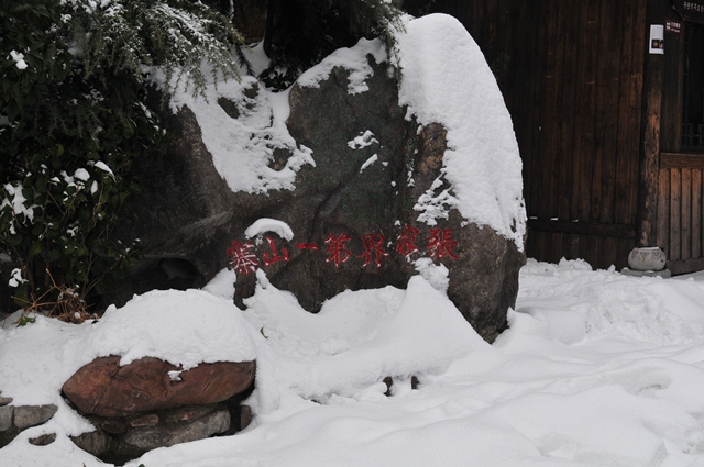 DSC_9244.JPG