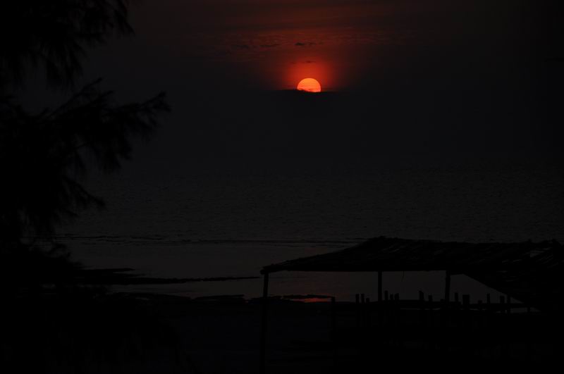 ������С DSC_0398.JPG