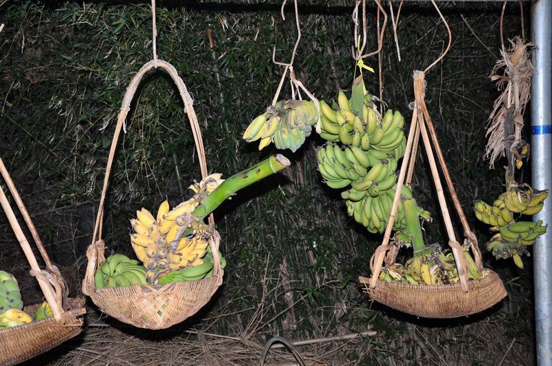 ������С DSC_0490.JPG